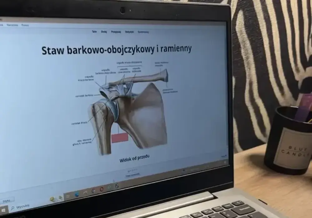 Jak uczyć się anatomii? Skuteczne metody i narzędzia dla studentów