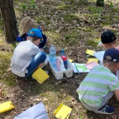 Dzieci uczą się w lesie. To wspaniała edukacja outdoorowa, gdzie odkrywają przyrodę, notują i pracują z materiałami.