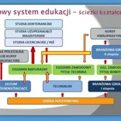 Schemat ścieżek kształcenia po szkole podstawowej. Po ukończeniu liceum lub technikum można zdać maturę, uzyskać średnie wykształcenie i kontynuować naukę.