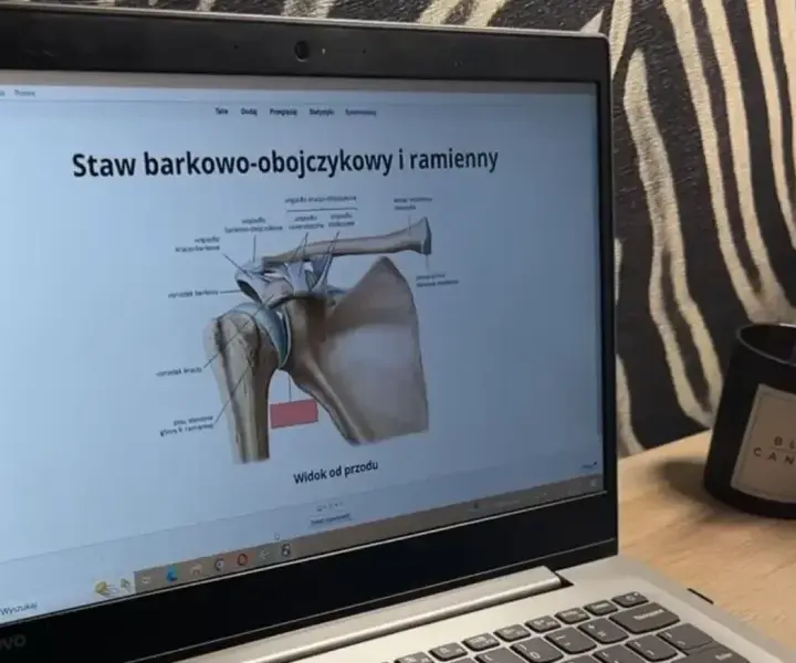 Jak uczyć się anatomii? Skuteczne metody i narzędzia dla studentów