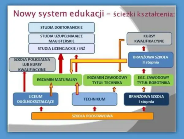 Wykształcenie średnie - Co to znaczy? Liceum, technikum, branżowa