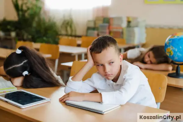 Pruski system edukacji - Czy wciąż kształtuje naszą szkołę?